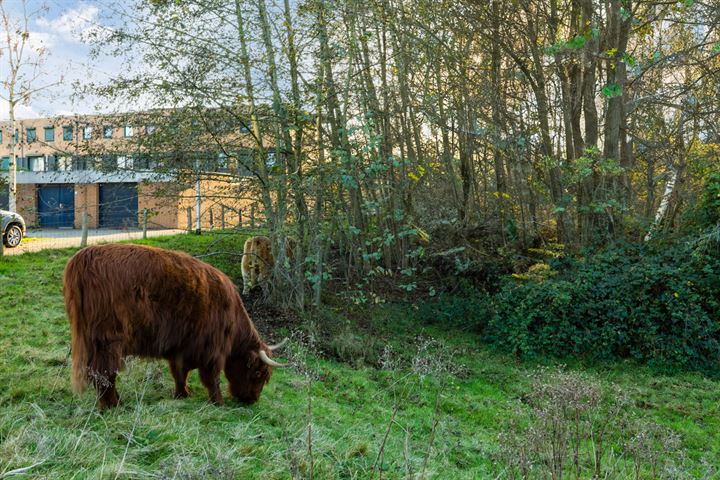 Bekijk foto 3 van Oosterbeekstraat 10