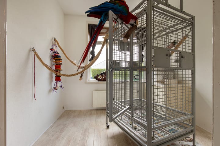 Foto 16 van Middelstraat 24