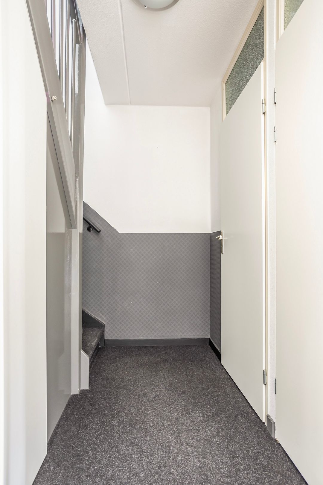 Foto 17 van Biesbosch 50