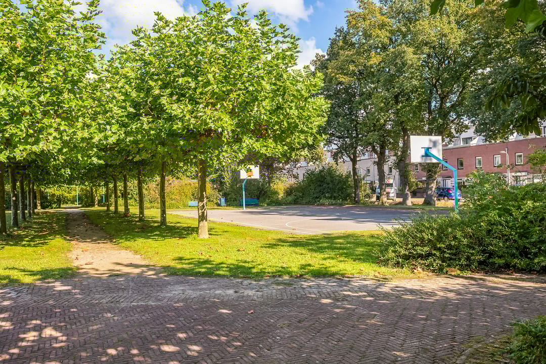 Foto 37 van Biesbosch 50