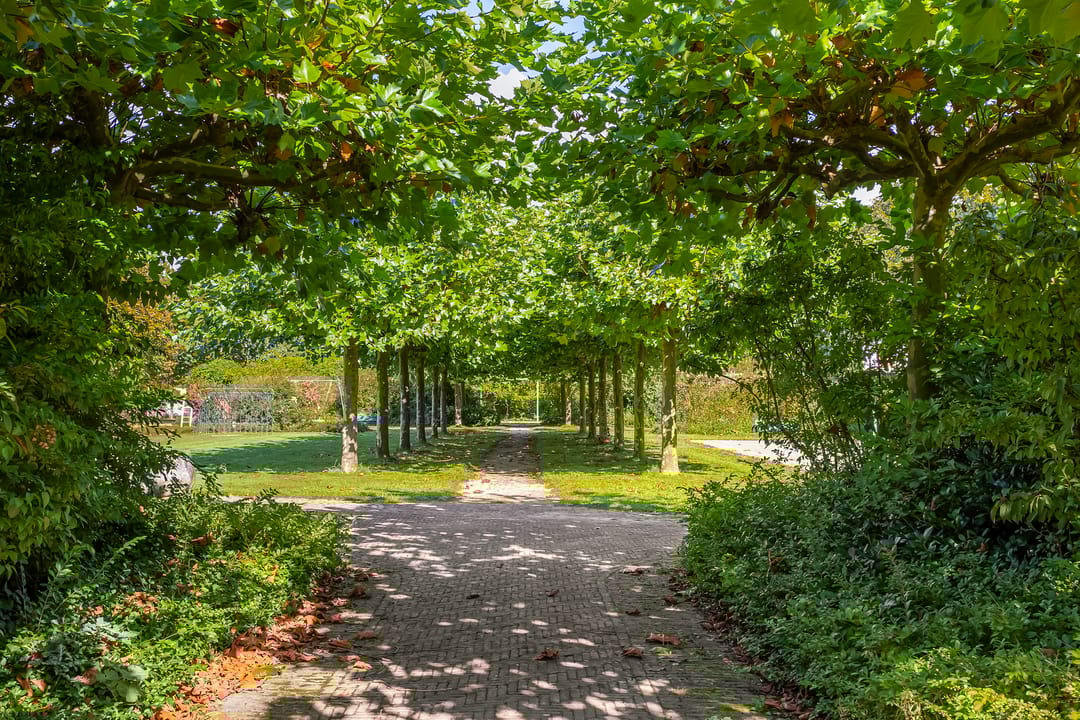 Foto 38 van Biesbosch 50