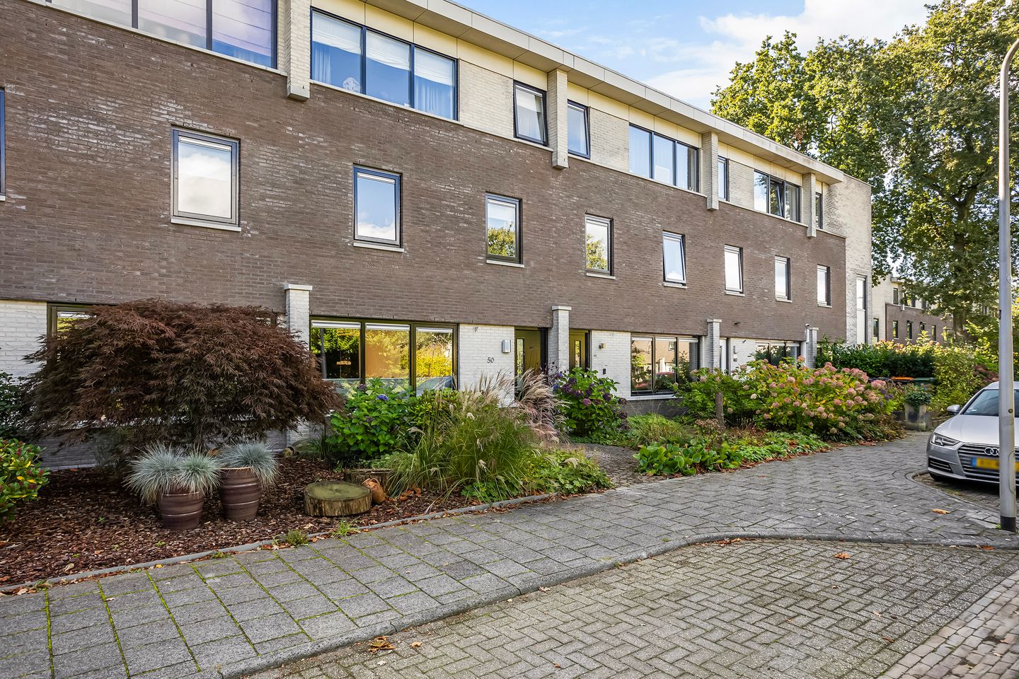 Foto 40 van Biesbosch 50