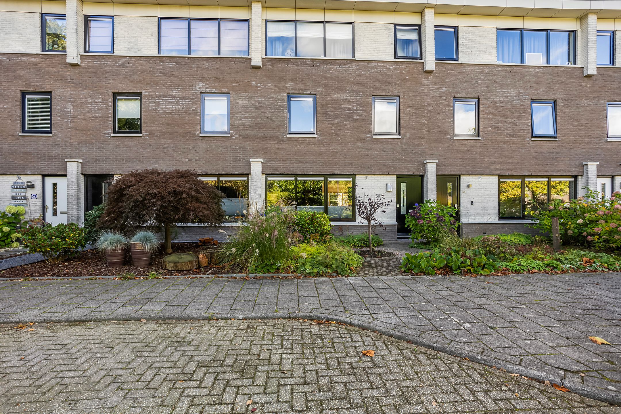 Foto 42 van Biesbosch 50