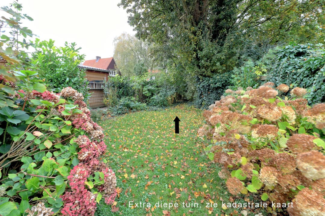 Foto 38 van Noordzoom 50