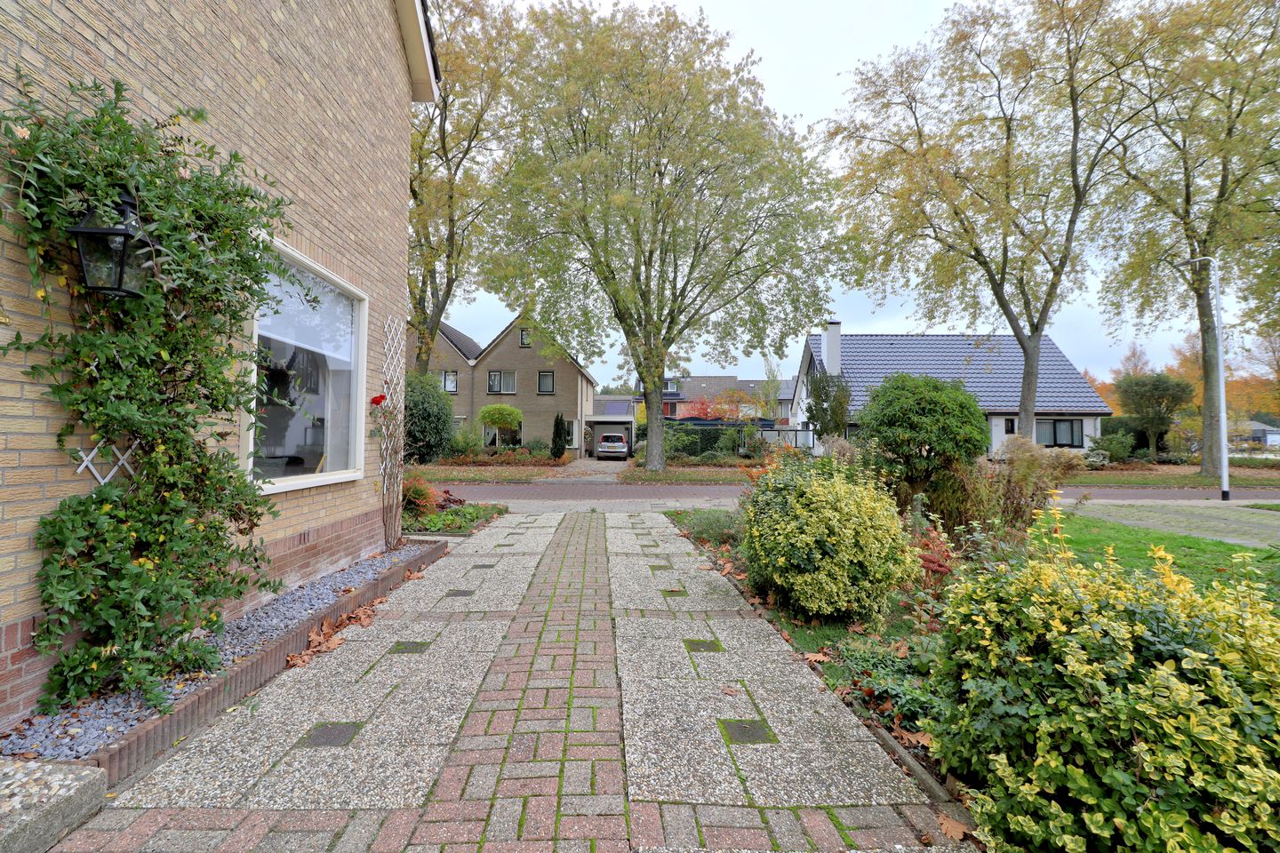 Foto 40 van Noordzoom 50