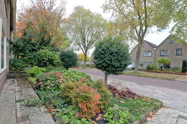 Foto 41 van Noordzoom 50