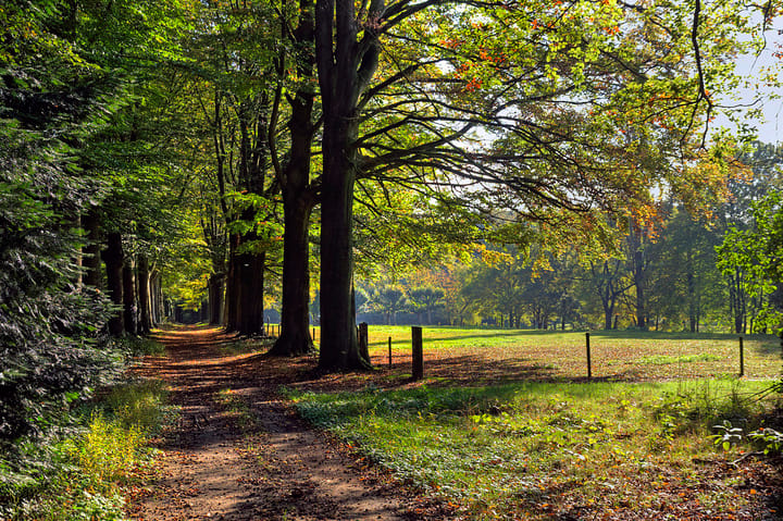 Foto 34 van Armstrongstraat 13