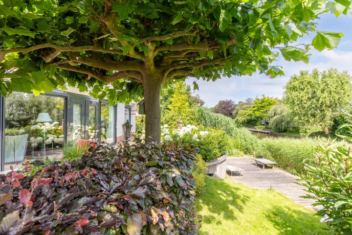 Foto 38 van de Eker 45