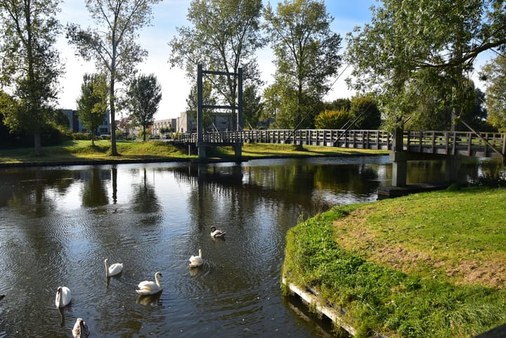 Foto 37 van Horst 11 1