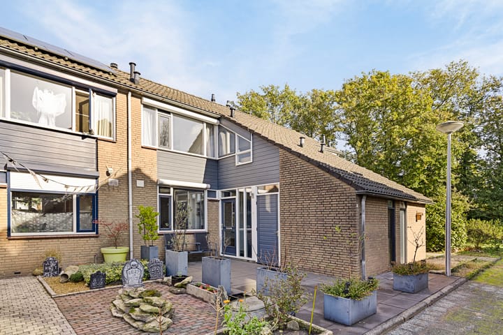 Foto 5 van de Roos 19