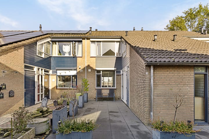 Foto 6 van de Roos 19