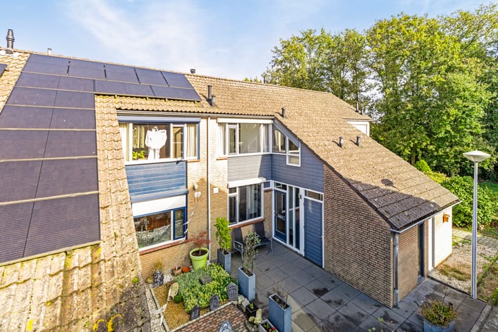 Foto 7 van de Roos 19