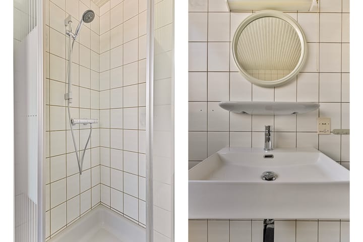 Foto 19 van de Roos 19