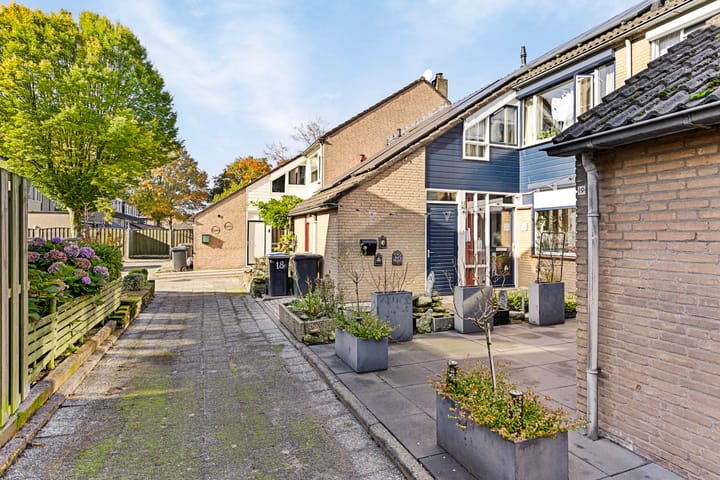 Foto 25 van de Roos 19