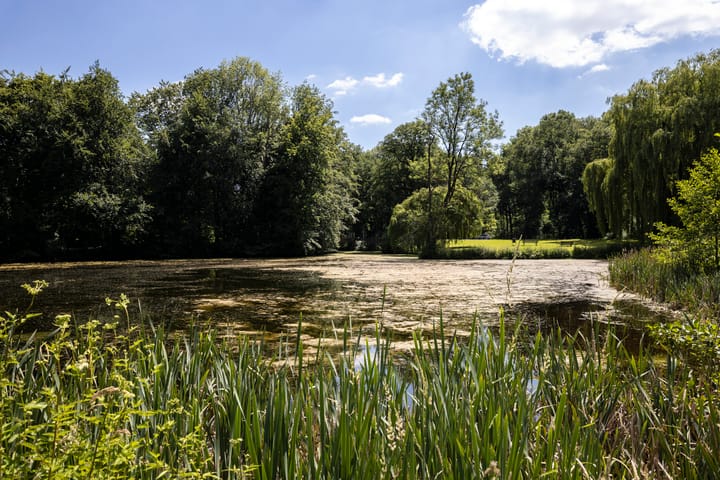 Photo 68 of Hoefslag 6