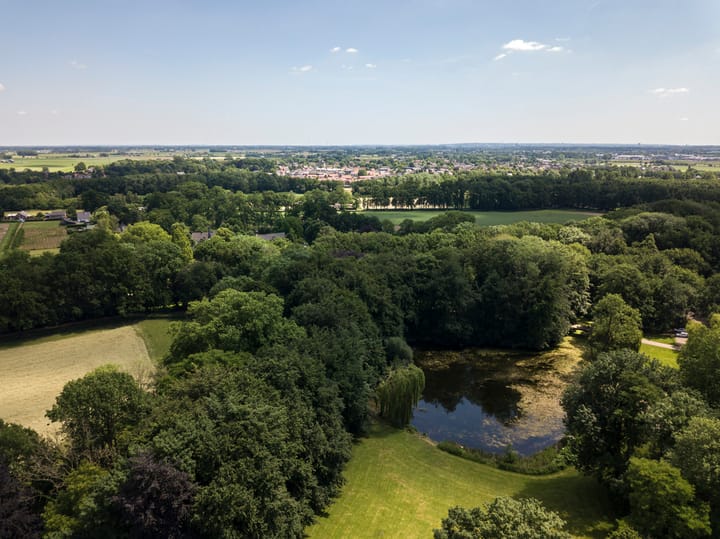 Photo 69 of Hoefslag 6