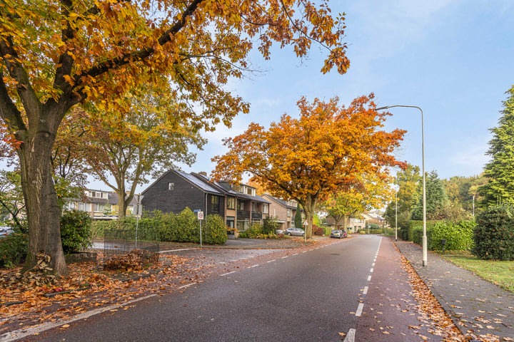 Bekijk foto 3 van Randwijksingel 109