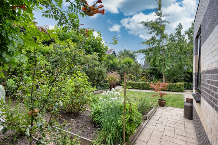 Foto 40 van De Hoants 1