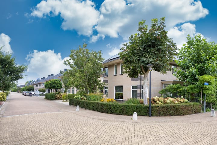 Foto 42 van De Hoants 1