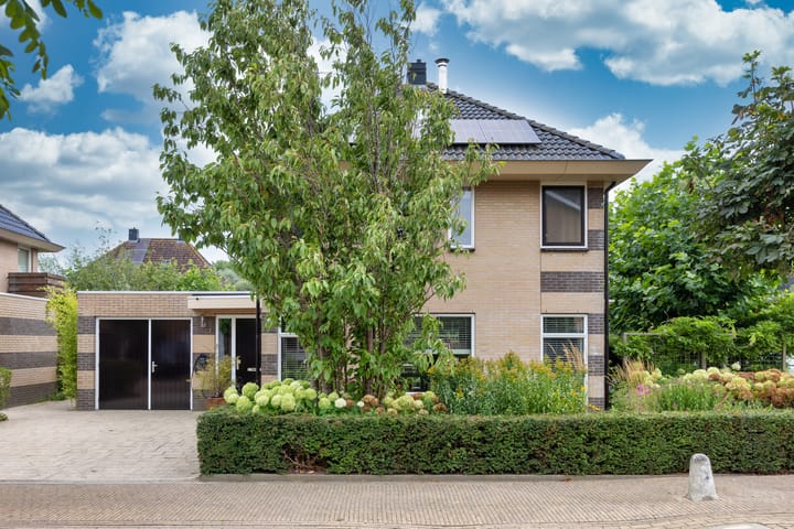 Foto 43 van De Hoants 1