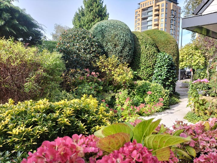 Foto 4 van Bertha von Suttnerstraat 7