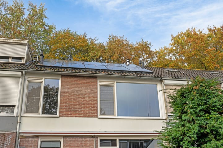 Foto 29 van Borodinstraat 188