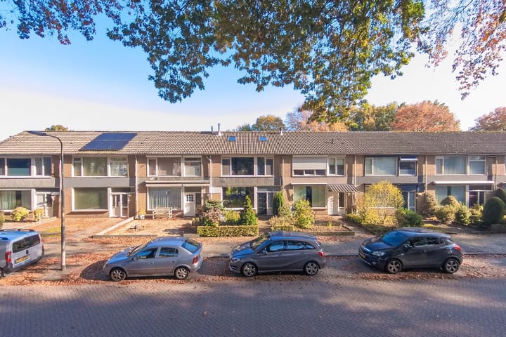 Foto 37 van Borodinstraat 188