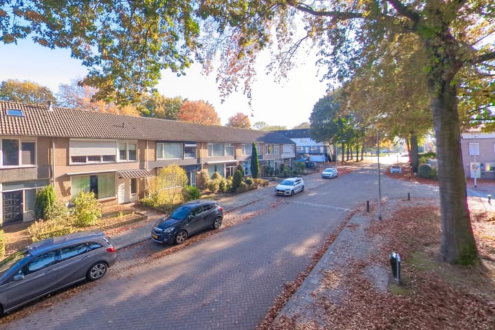 Foto 38 van Borodinstraat 188