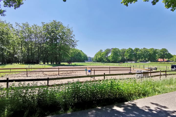 Foto 39 van Borodinstraat 188