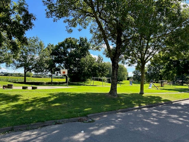 Foto 31 van Iepenhoven 43