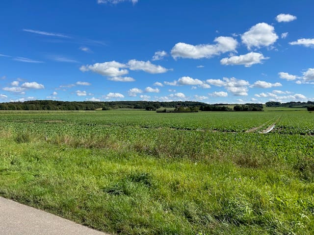 Foto 32 van Iepenhoven 43