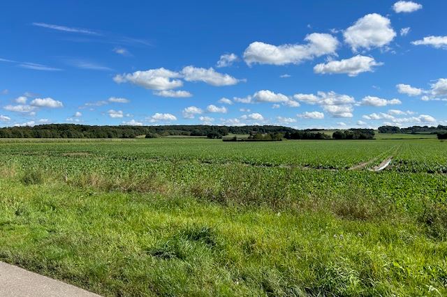 Bekijk foto 32 van Iepenhoven 43