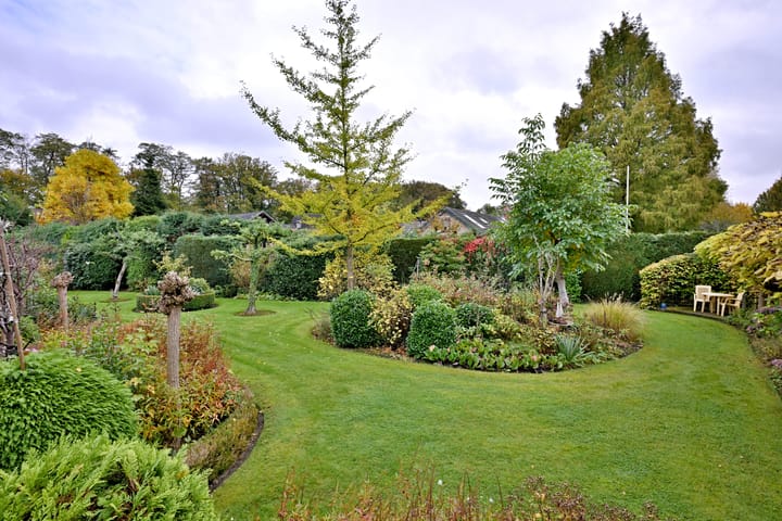 Foto 44 van Houtwal 22