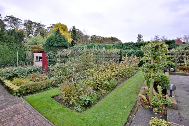 Foto 52 van Houtwal 22