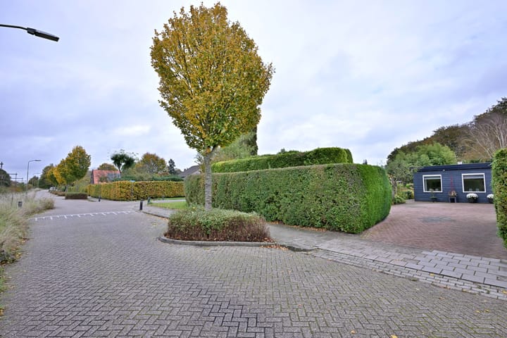 Foto 62 van Houtwal 22