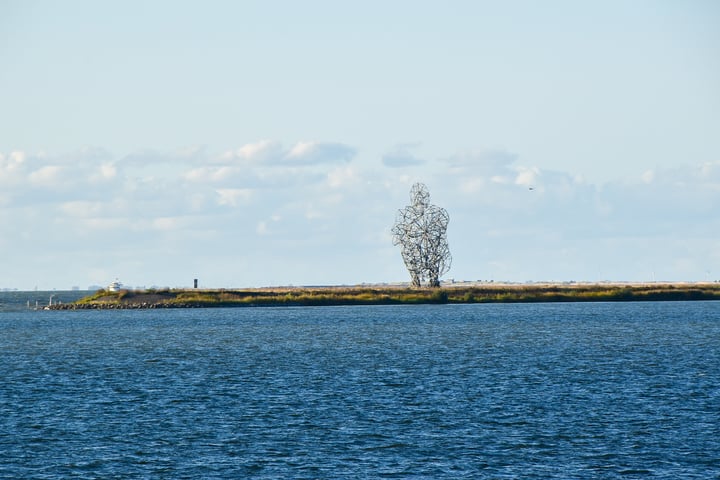 Bekijk foto 32 van Saerdam 309