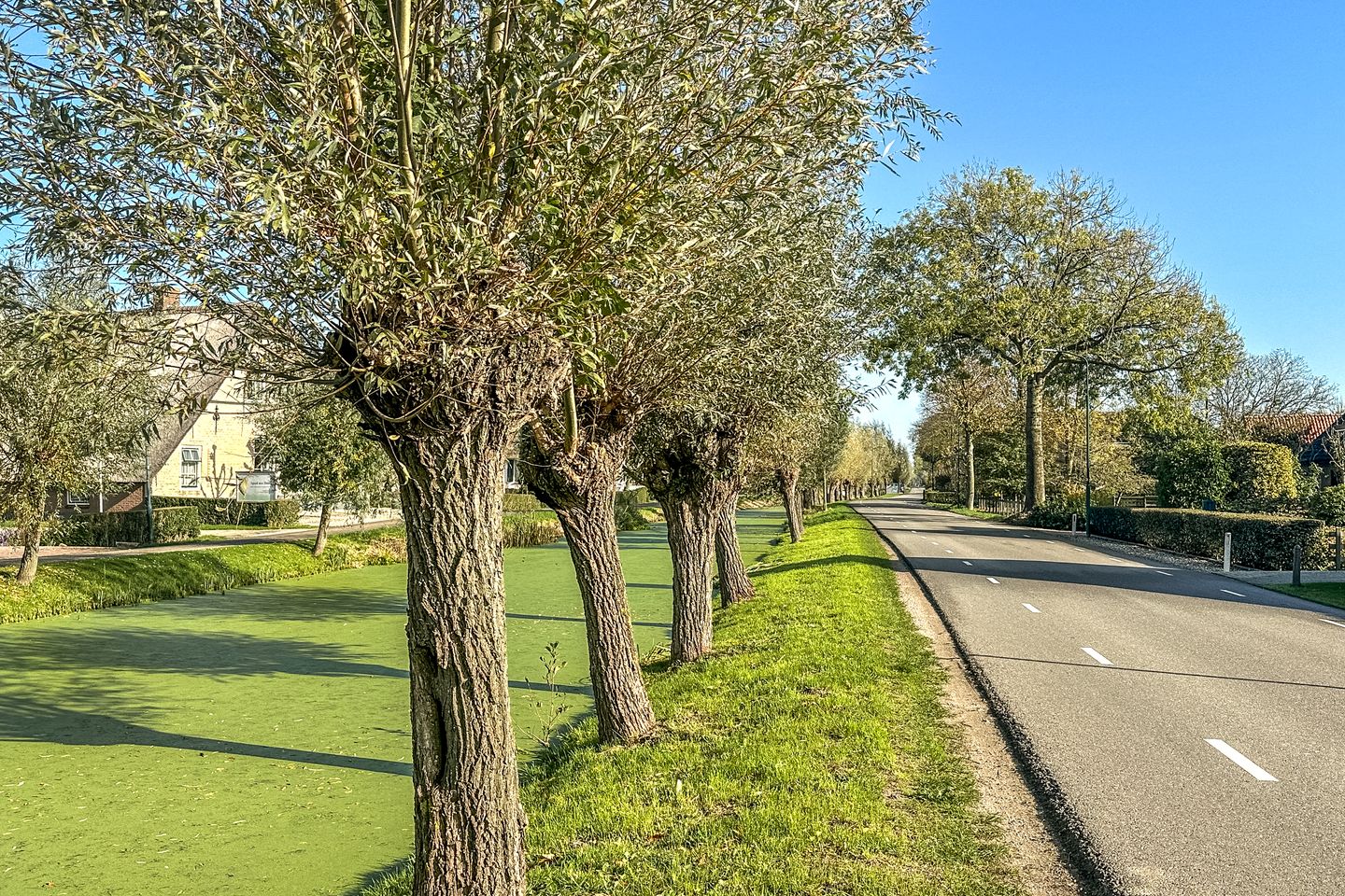 Foto 79 van Zuidzijdseweg 144