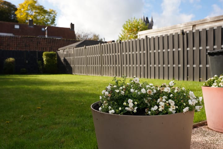 Foto 31 van Ridderstraat 24