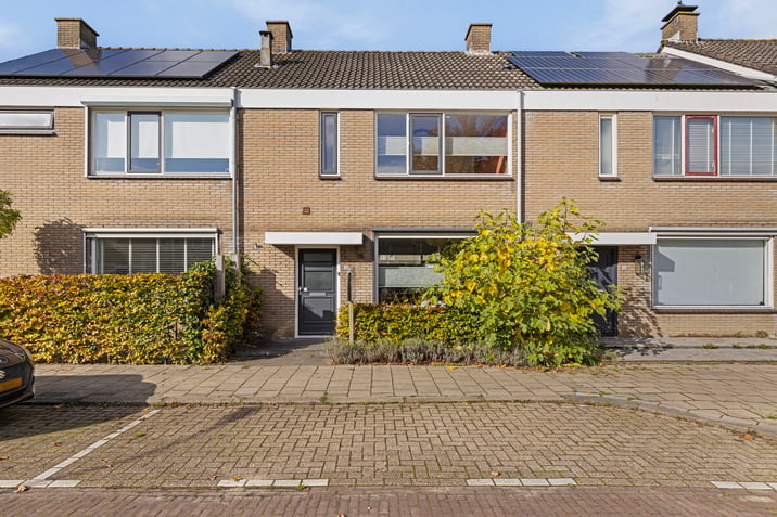undefined main image