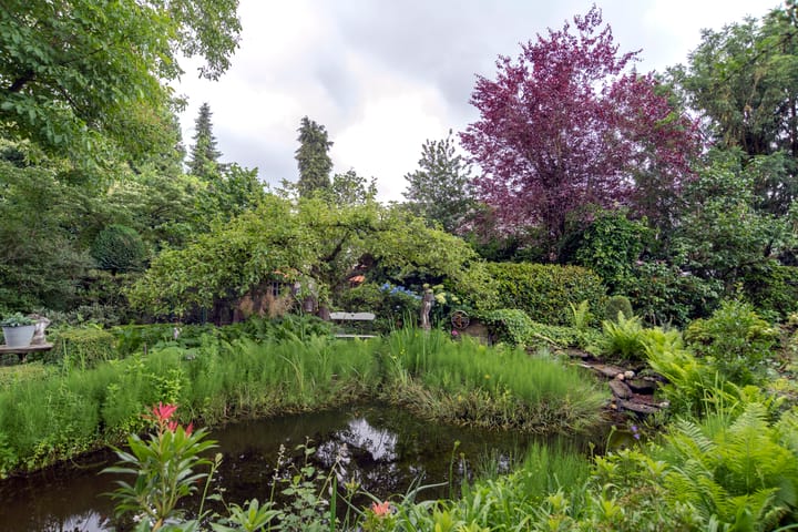 Foto 45 van Rijnstraat 29