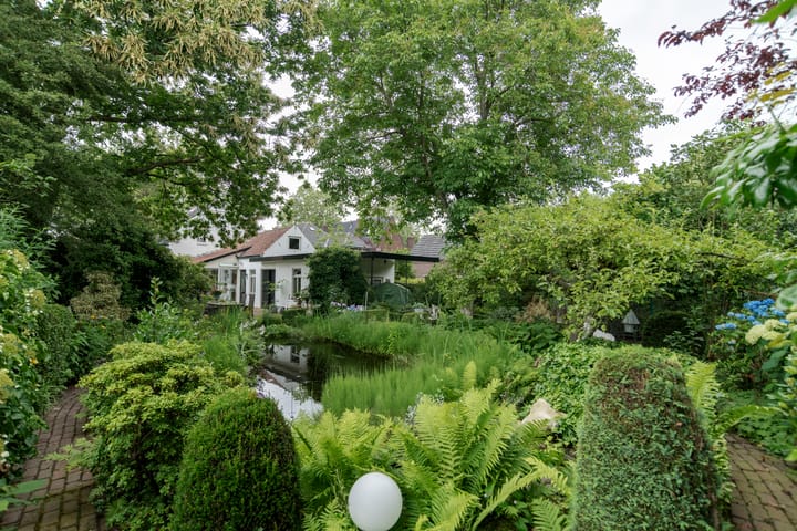 Foto 46 van Rijnstraat 29