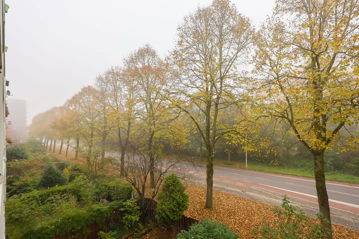 Foto 24 van Olof Palmeplein 11