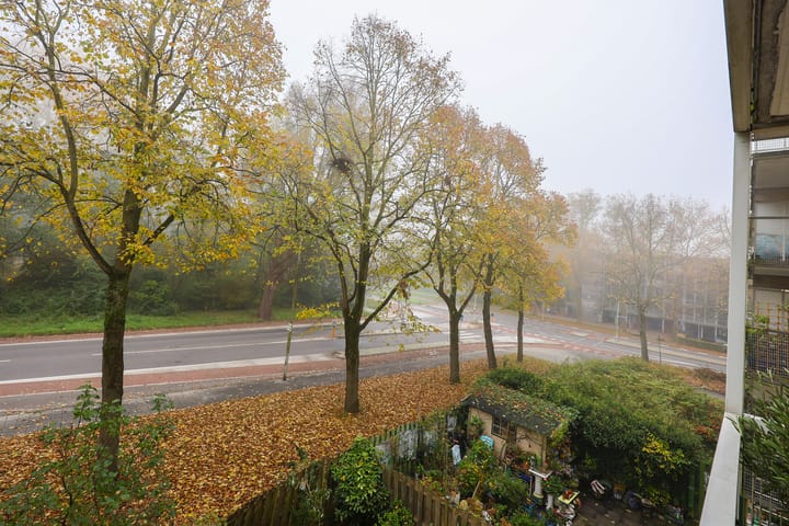 Foto 25 van Olof Palmeplein 11