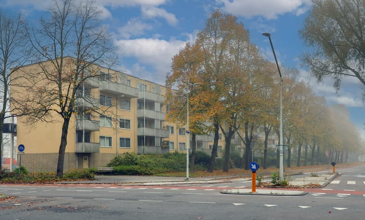 Foto 36 van Olof Palmeplein 11