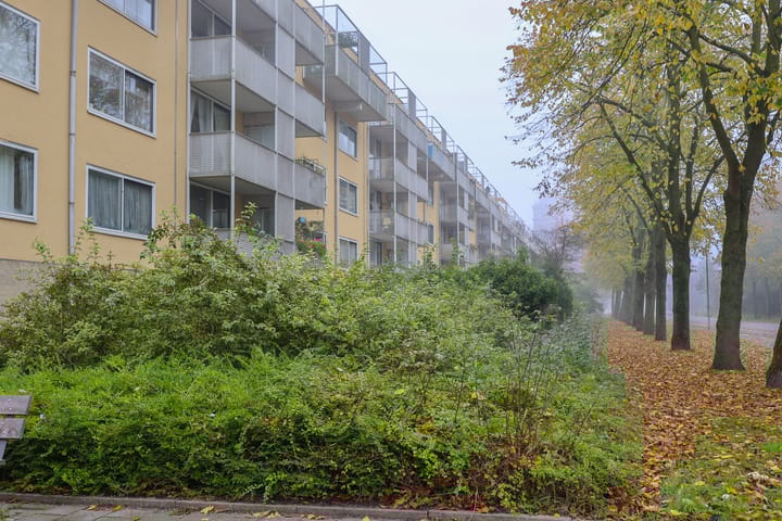 Foto 32 van Olof Palmeplein 11