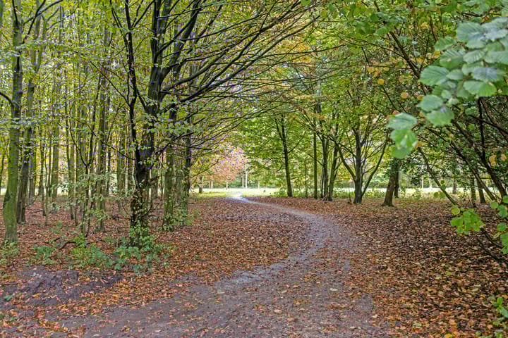 Foto 49 van Charles Dickensstraat 11