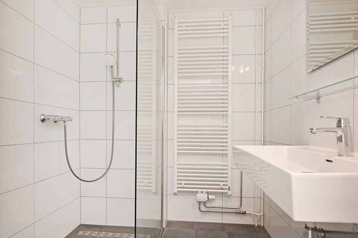 Foto 20 van Denijsstraat 133