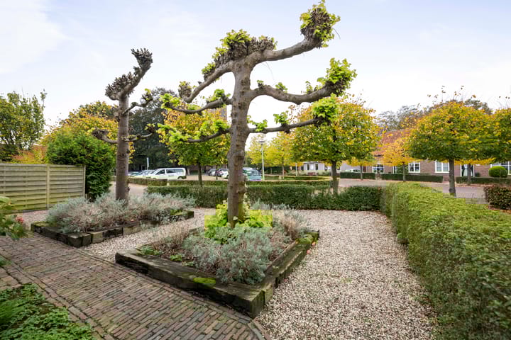 Foto 64 van Molenweg 4