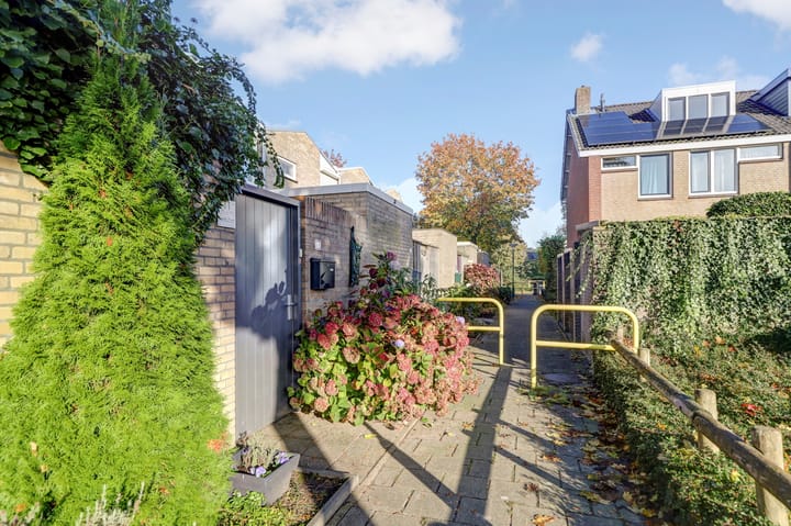 Foto 4 van Molenijzer 11