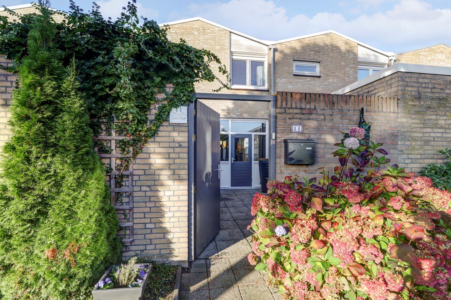 Foto 1 van Molenijzer 11